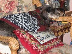 BuddyBoy Dec 2004 a.jpg